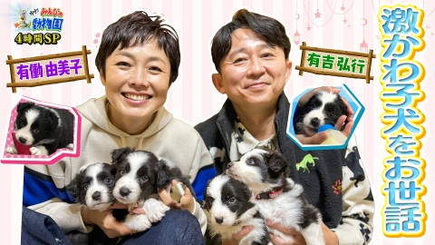 嗚呼!!みんなの動物園 有働由美子＆有吉弘行の保護犬ミルクボランティア