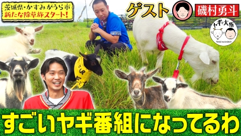ヤギと大悟 10月13日(金)放送分 茨城かすみがうら編＃1 初の湖でヤギ