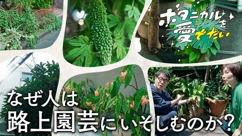 ボタニカルを愛でたい 湯島