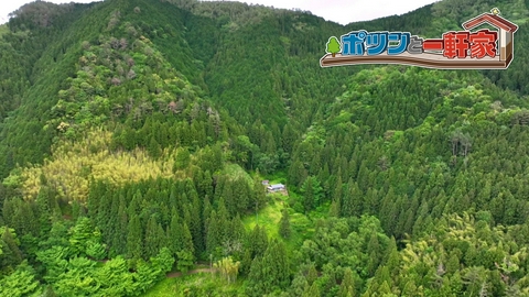 ポツンと一軒家 高知の山奥で、３姉弟が幼いころに我が子のように見守ってくれた“忘れられない恩人”と涙の再会