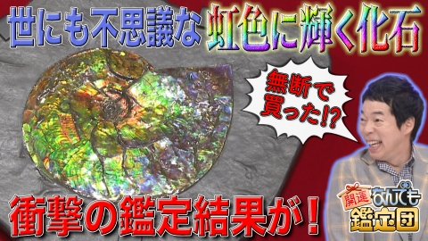 開運！なんでも鑑定団 妻に黙って高額購入＜虹色に輝く化石＞＆幻のレコード!?隠された＜ビートルズ秘宝＞に仰天値！