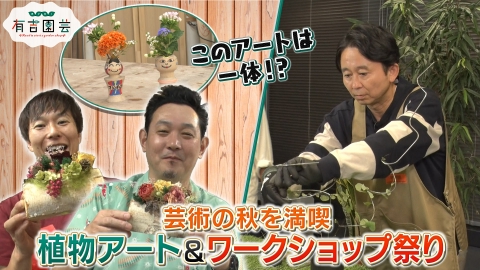 夢が咲く 有吉園芸～Road to start a garden shop～｜バラエティ