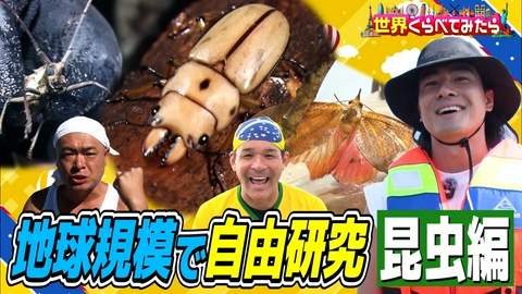 世界くらべてみたら 夏休み特別企画！世界で自由研究SP 昆虫編＆激辛デカ盛り in スリランカ