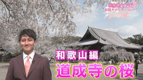 桜前線2026 全国キャスターリレー！ ～伝えたい！ふるさとの桜スポット～ 和歌山編「道成寺の桜」