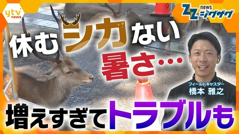 サタデーLIVE ニュース ジグザグ 危険な暑さでシカも休むシカない…増えすぎてあちこち出没…トラブルも