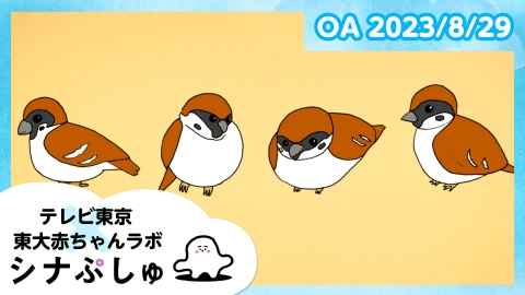 シナぷしゅ