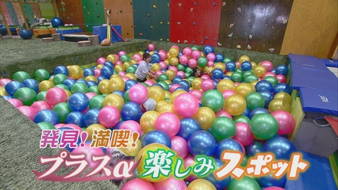 どーんと鹿児島 発見！満喫！プラスα楽しみスポット