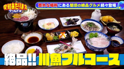 千原ジュニアの愛知あたりまえワールド☆～あなたの街に新仰天！～ 激安＆秘湯SP！！常滑VS岡崎VS奥三河VS名駅
