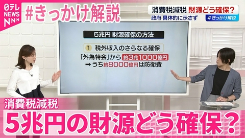 日テレNEWSセレクト 【消費税減税】年間5兆円の財源どう確保？ 政府の本気度の確認を【#きっかけ解説】