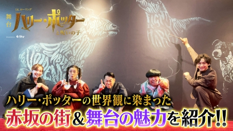 舞台『ハリー・ポッターと呪いの子』特別番組 舞台『ハリポタ』100倍楽しめちゃうSP