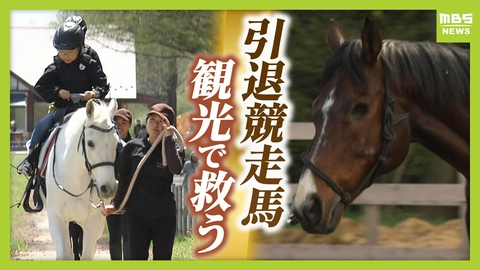 MBSニュース特集 引退競走馬の「第二の馬生」　長く生きられない馬もいる現実…　観光で現状変えるべく奮闘する牧場運営者たち「少しずつでも幸せに過ごせる馬を増やしたい」