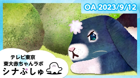 シナぷしゅ