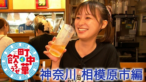 町中華で飲ろうぜ 神奈川 相模原市編