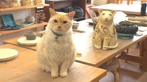 ねこやさま 中華居酒屋 ねこや 【公式】 🐈 (@nekoya_osaka) / Posts / X