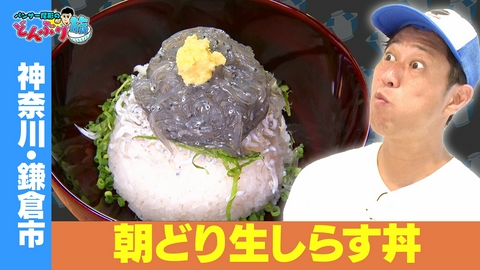 パンサー尾形のどんぶり旅～ニッポンのうまい！にサンキュー～ 神奈川・鎌倉市／生しらす丼