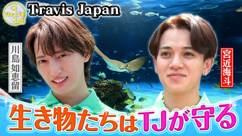 シューイチ 水族館で飼育スタッフをスタディー【Travis JapanのスタディーJAPAN】