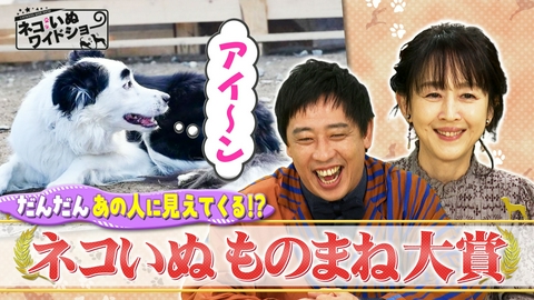 ネコいぬワイドショー 第13回 喋りすぎスカウトキャラバン/名画から有名人まで!?奇跡の「アレ」に大激似！ネコいぬものまね大賞