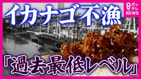 newsランナー 「頼むからとれて」関西の春の風物詩“イカナゴ”が危機　「過去最低レベル」不漁　「完全養殖」成功で希望の光