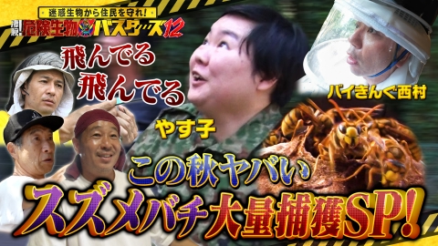 迷惑生物から住民を守れ！凄腕！危険生物バスターズ 危険生物バスターズ12 この秋ヤバい猛毒スズメバチVS凄腕達人（秘）駆除