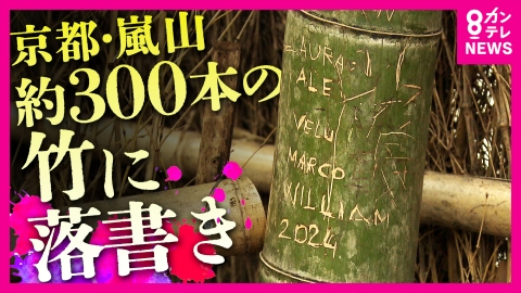 newsランナー 竹に書かれた『Revengers』・“相合傘”・ハングル…嵐山の絶景竹で相次ぐ“落書き” 7～8年前から始まり“350本以上”が被害 いずれは竹が倒れて人に被害を及ぼす可能性も