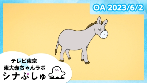シナぷしゅ