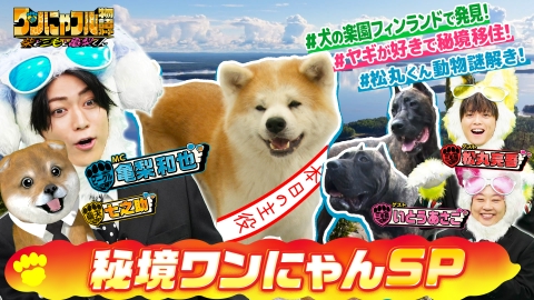 世界を救う！ワンにゃフル物語～柴と三毛と亀梨くん～ MC：亀梨和也！ワンちゃん天国フィンランド＆動物200匹田舎生活