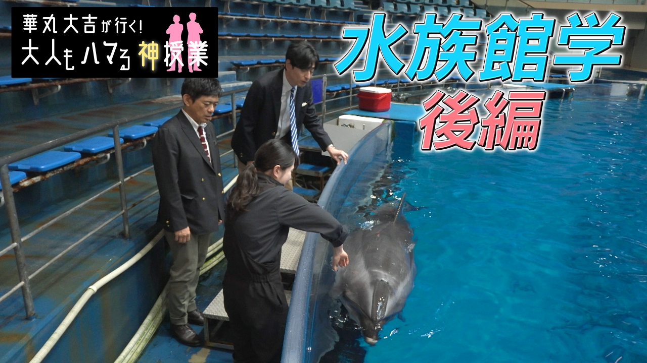 華丸大吉が行く！大人もハマる神授業 4月25日(金)放送分 水族館学 後編