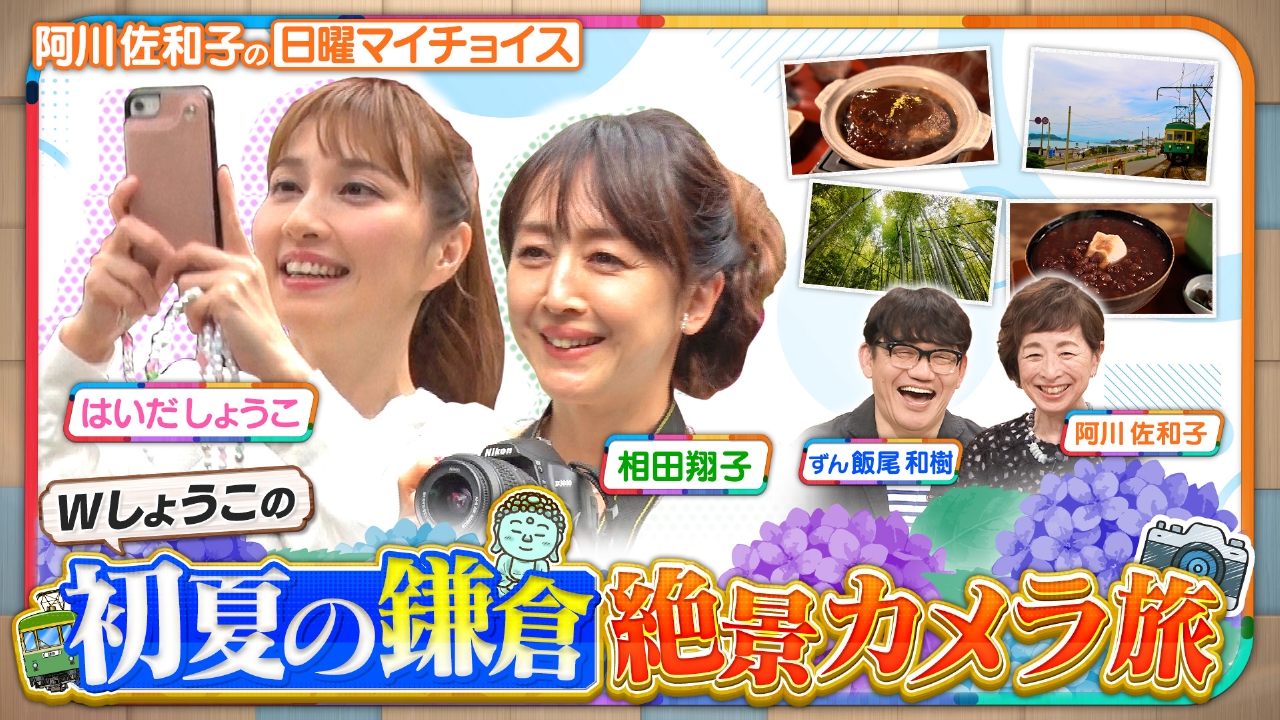 相田 翔子 はいだしょうこ