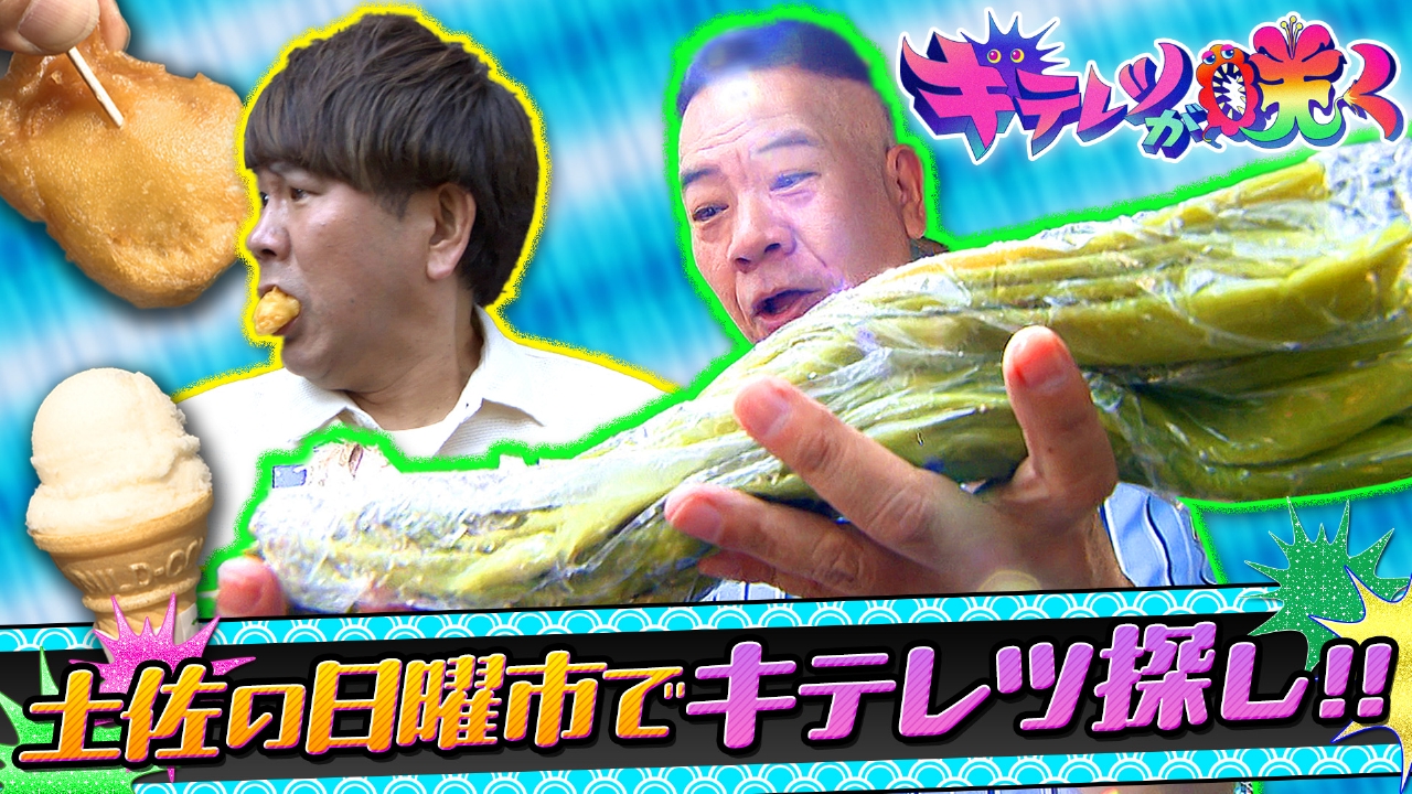 キテレツが咲く 8月20日(水)放送分 ようこそ！高知のちょっとディープ