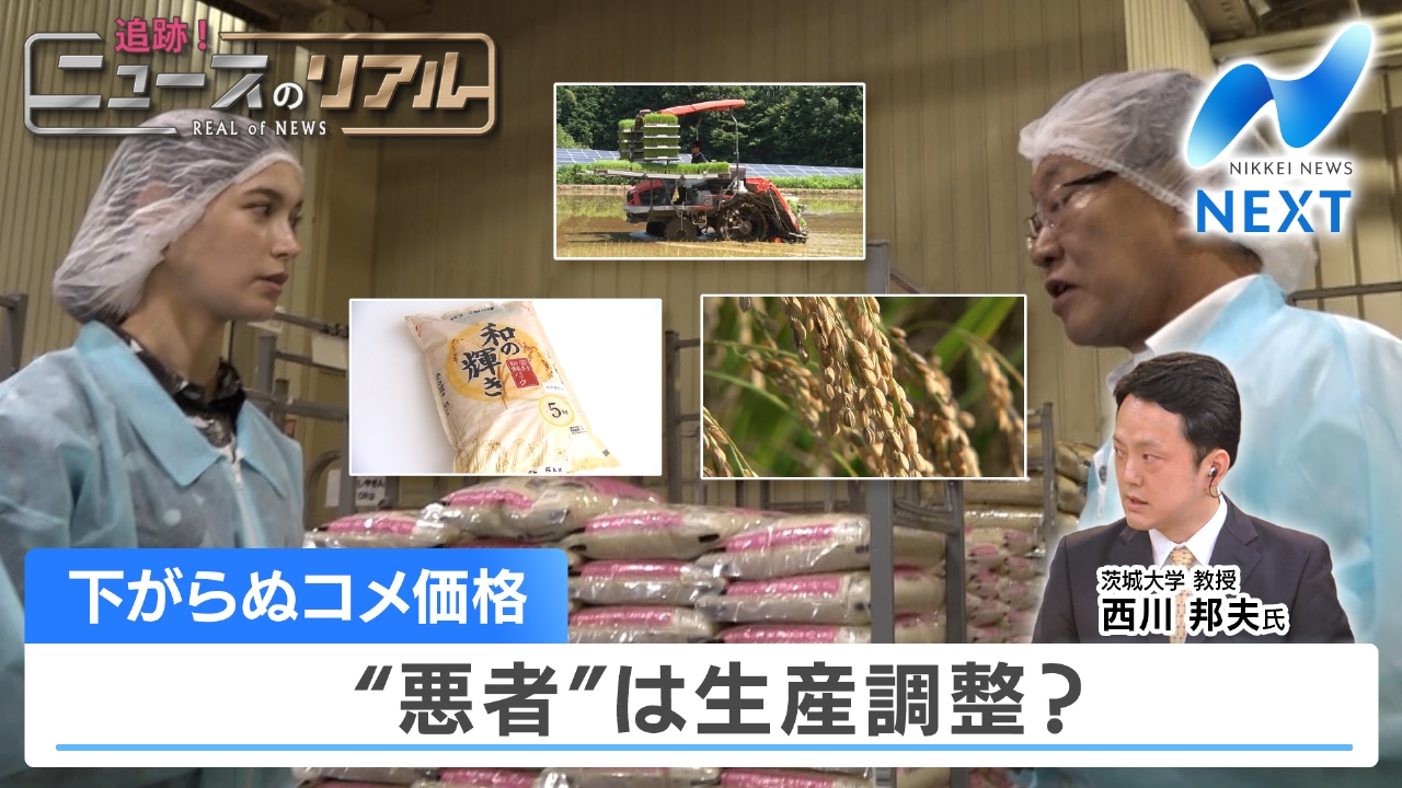 NIKKEI NEWS NEXT 6月20日(金)放送分 コメ高騰 儲けているのは