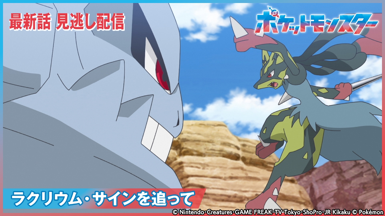 ポケットモンスター　アニメ完全ずかん アニメ ポケットモンスターXY ポケモンぜんこく超ずかん