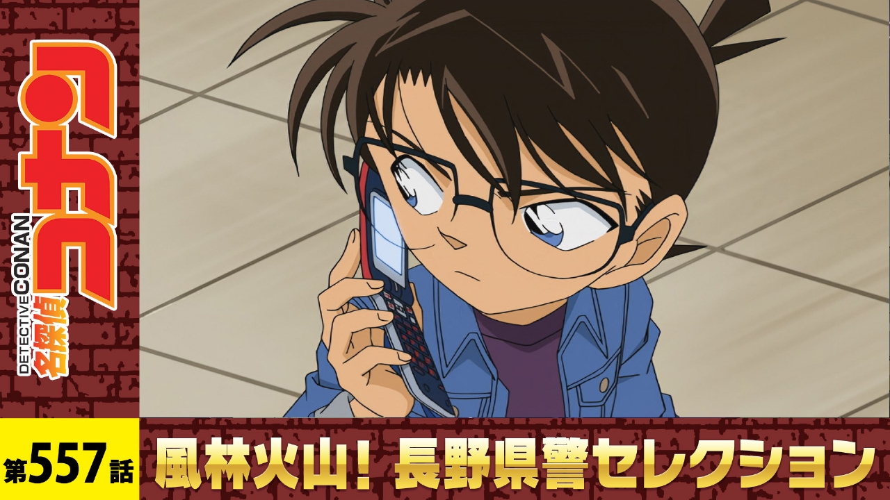 名探偵コナン 2009年放送 危険な二人連れ｜アニメ／ヒーロー｜見逃し