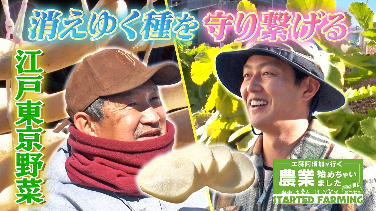 工藤阿須加が行く 農業始めちゃいました 2月26日(水)放送分 消えゆく種