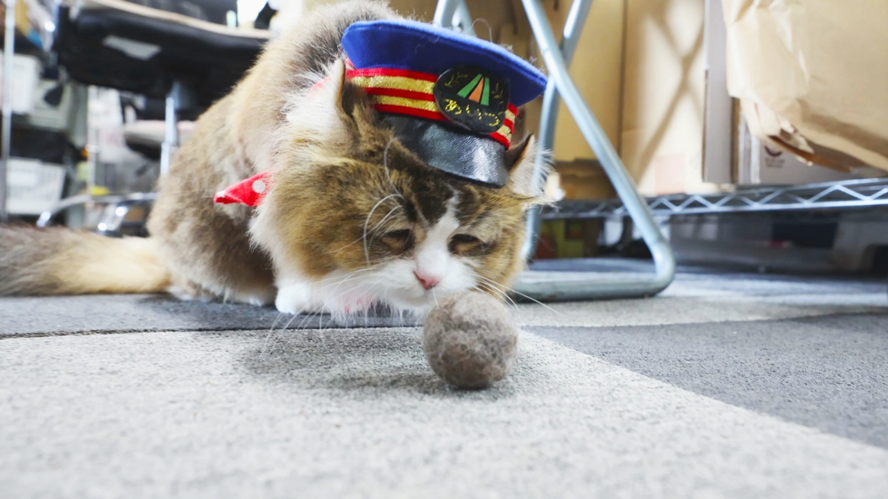 ふにゃ～り日和 7月15日(火)放送分 Vol.69 驚きのおもちゃだにゃ