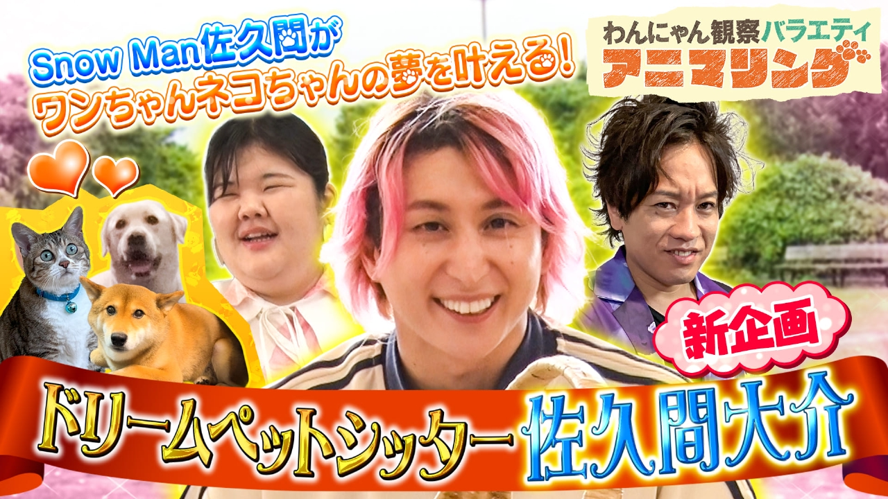 わんにゃん観察バラエティ アニマリング 8月1日(金)放送分 Snow Man