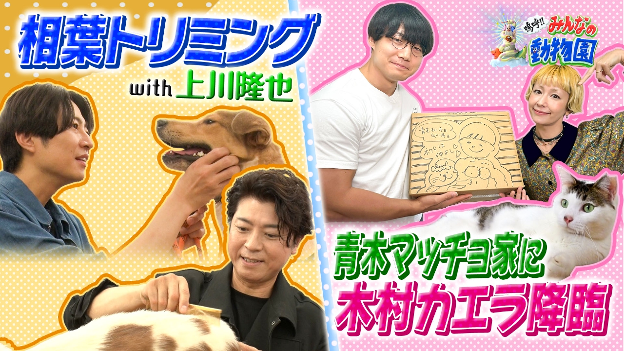 嗚呼!!みんなの動物園 10月18日(土)放送分 青木マッチョ家に木村カエラ