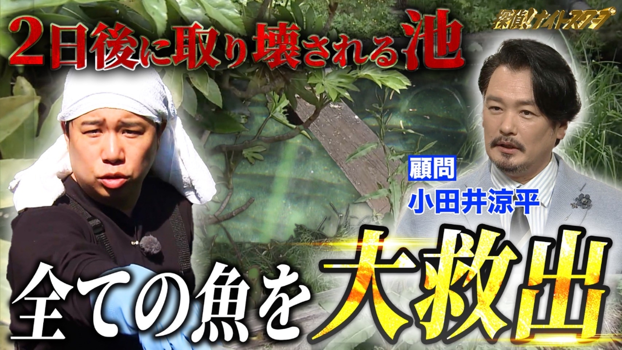探偵！ナイトスクープ 6月13日(金)放送分 生けすの水をぜんぶ