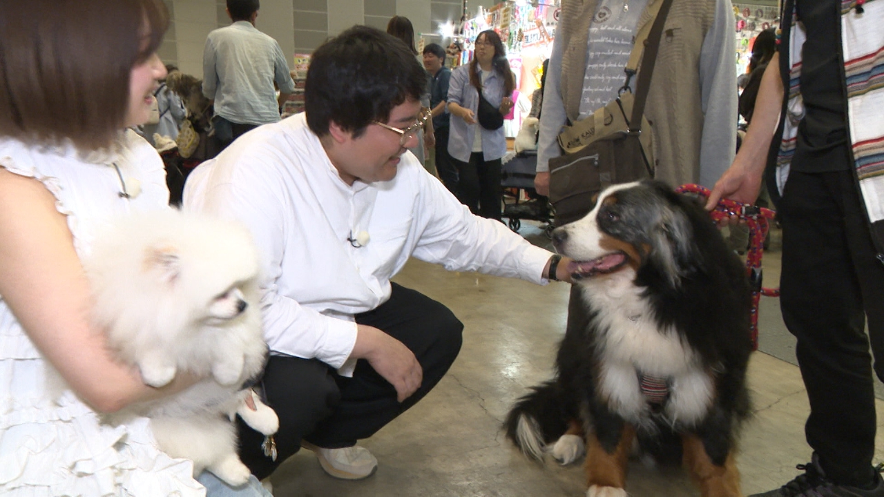 いぬじかん 6月7日(土)放送分 島崎遥香がスタジオに登場！国内最大級