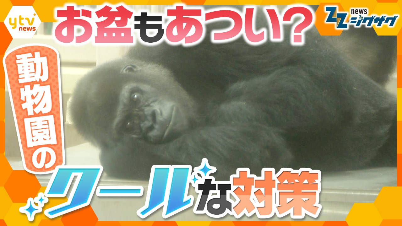 サタデーLIVE ニュース ジグザグ 8月9日(土)放送分 歴史的な暑さのこの