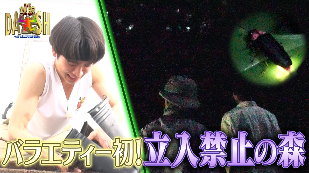 ザ！鉄腕！DASH!! 8月3日(日)放送分 25年目の米作り棚田がピンチ!新宿DASH2大計画始動 ｜バラエティ｜見逃し無料配信はTVer！人気の動画見放題