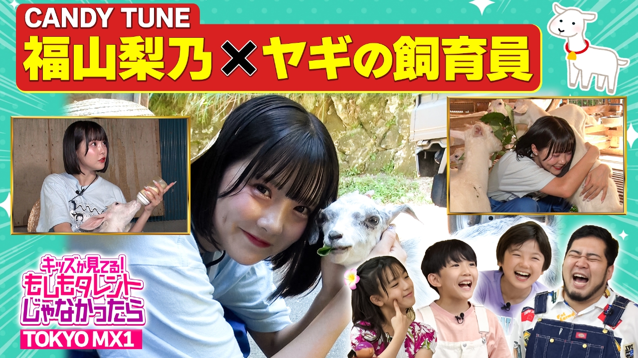 福山梨乃 まとめ売り Amazon.co.jp: CANDYTUNE 福山梨乃 生写真セット : おもちゃ