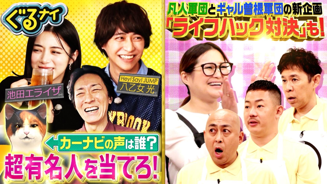 ぐるぐるナインティナイン 6月12日(木)放送分 凡人vs家事プロ軍団