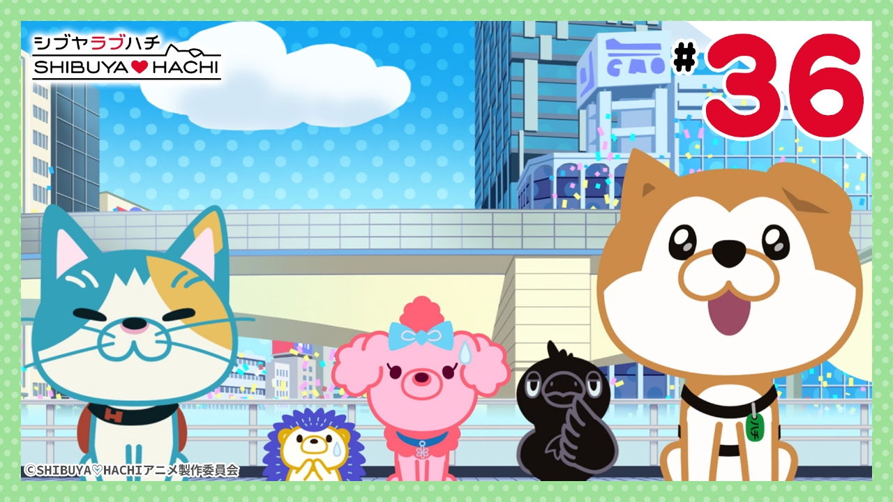 SHIBUYA♡HACHI 第3クール 6月14日(土)放送分 第36話 目指せ渋谷の