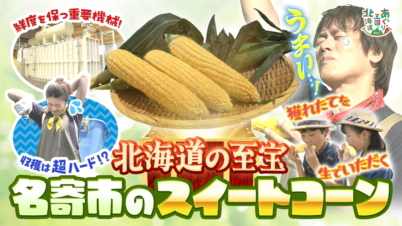 あぐり王国北海道NEXT 8月16日(土)放送分 甘さは想像以上！名寄市の