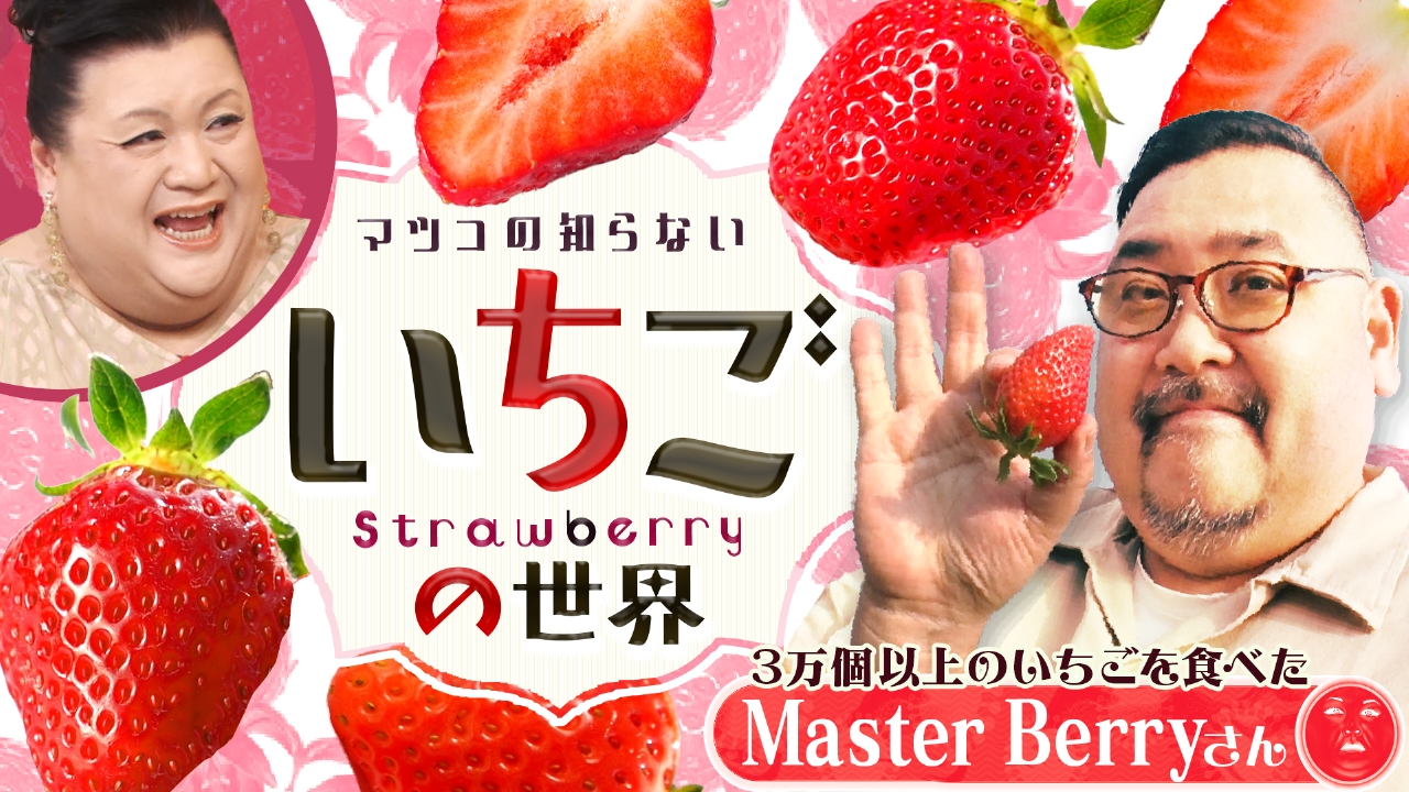 マツコの知らない世界 3月25日(火)放送分 前編！「いちごの世界