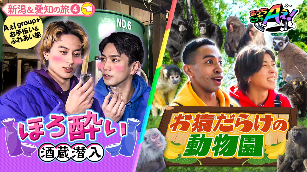 あっちん まとめ売り 658 あっちこっちAぇ!｜朝日放送テレビ