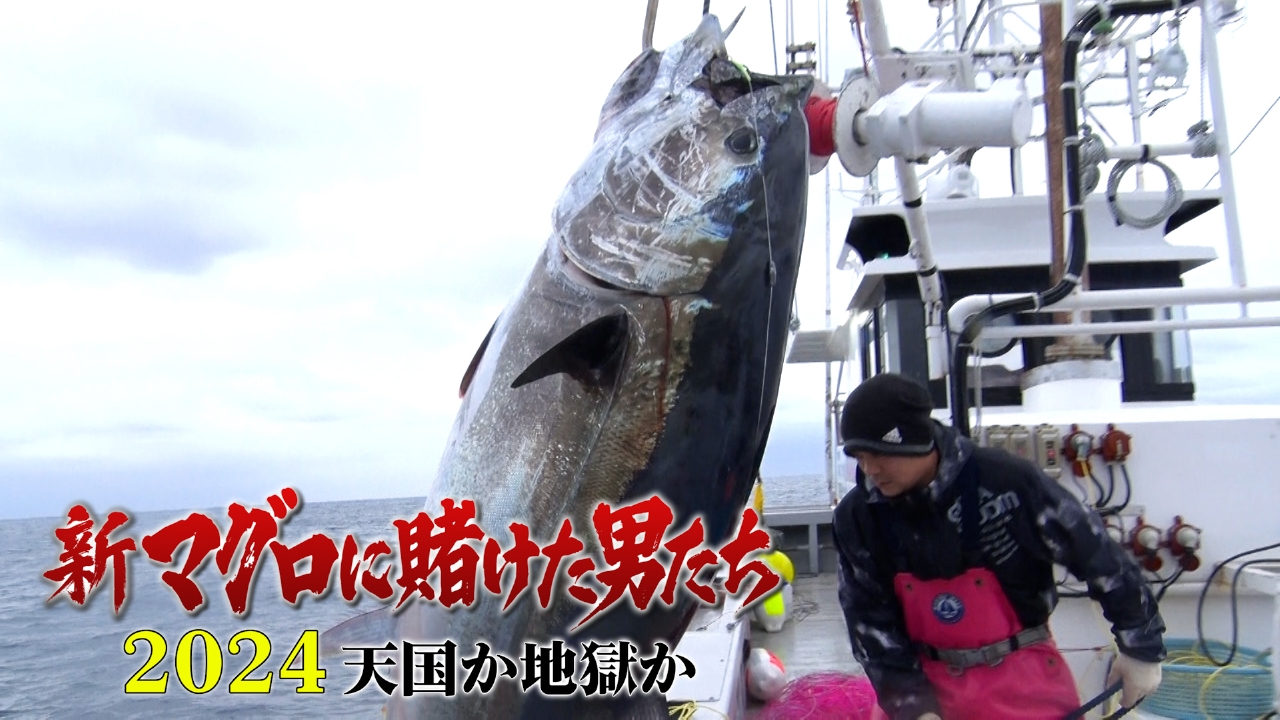 新マグロに賭けた男たち2024 天国か地獄か 第6話！若手イケメン漁師