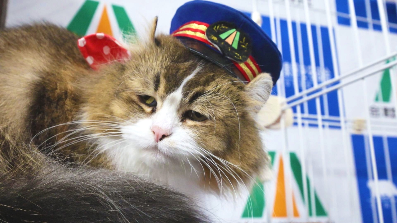 ふにゃ～り日和 9月23日(火)放送分 Vol.79 駅長は見逃さないにゃ