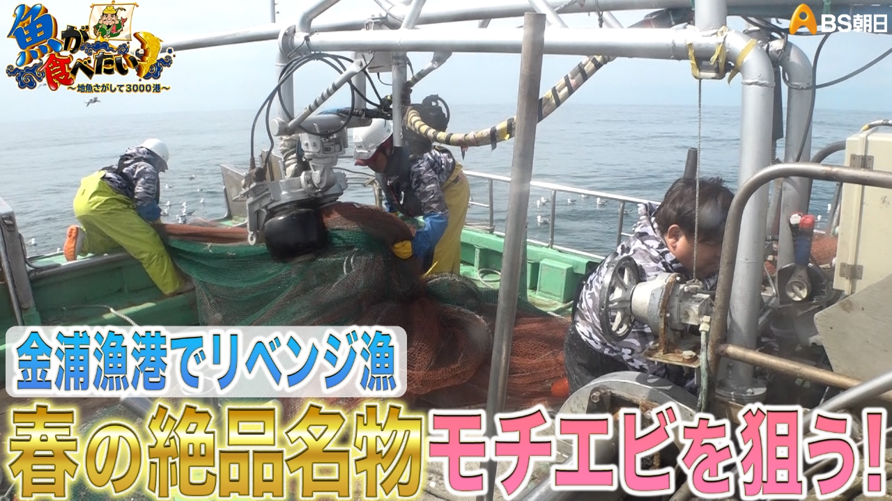 魚が食べたい！ ～地魚さがして3000港～ 5月14日(水)放送分 “幸運の