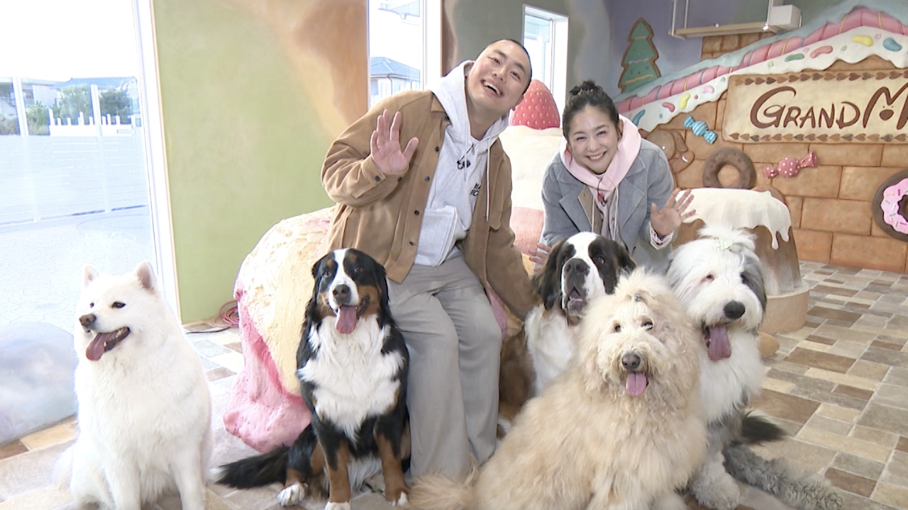 いぬじかん 3月18日(火)放送分 島崎遥香がテレビ初公開の愛犬と登場